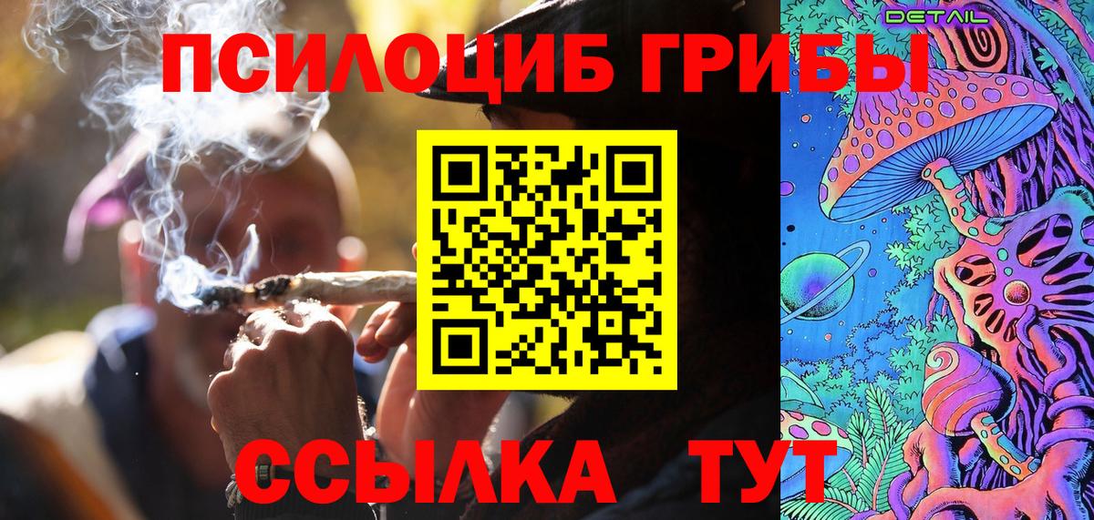 Псилоцибиновые грибы Psilocybine cubensis Тверь