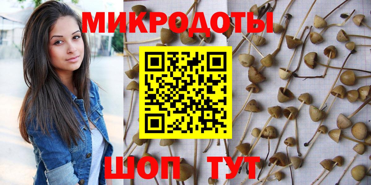 Псилоцибиновые грибы ЛСД  Вход с VPN  Тверь  Галлюциногенные грибы прущие грибы 